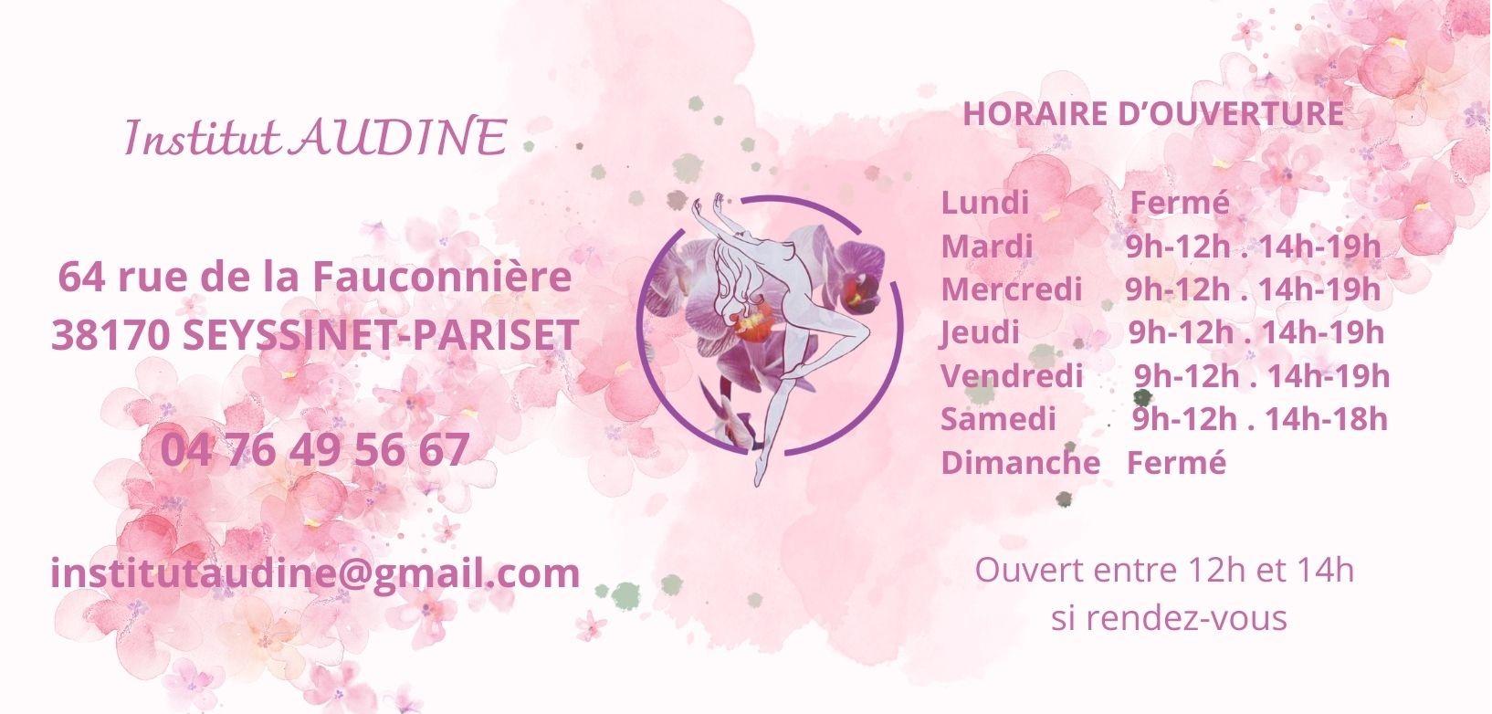 Pied de page site institut audine